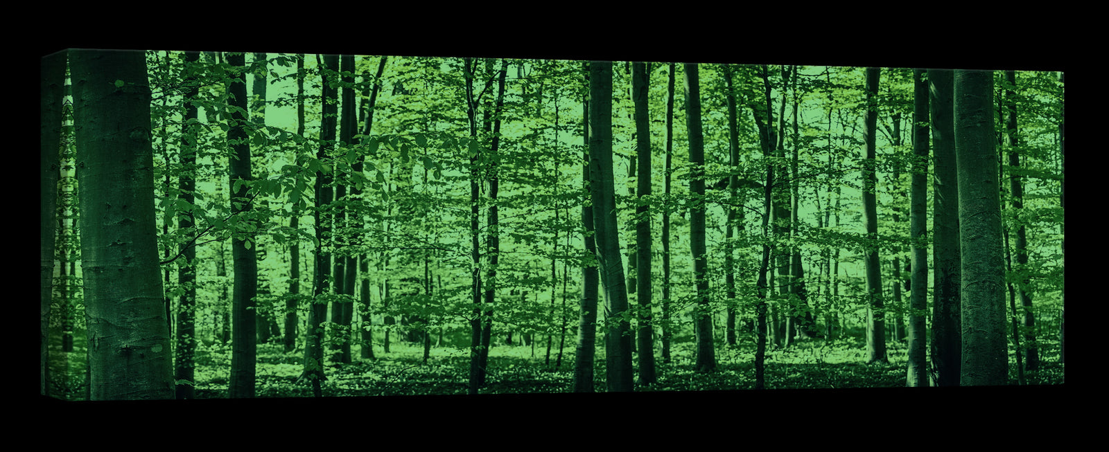 Landscapes No. 100, glowing at night