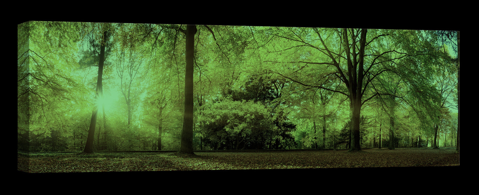 Landscapes No. 101, glowing at night