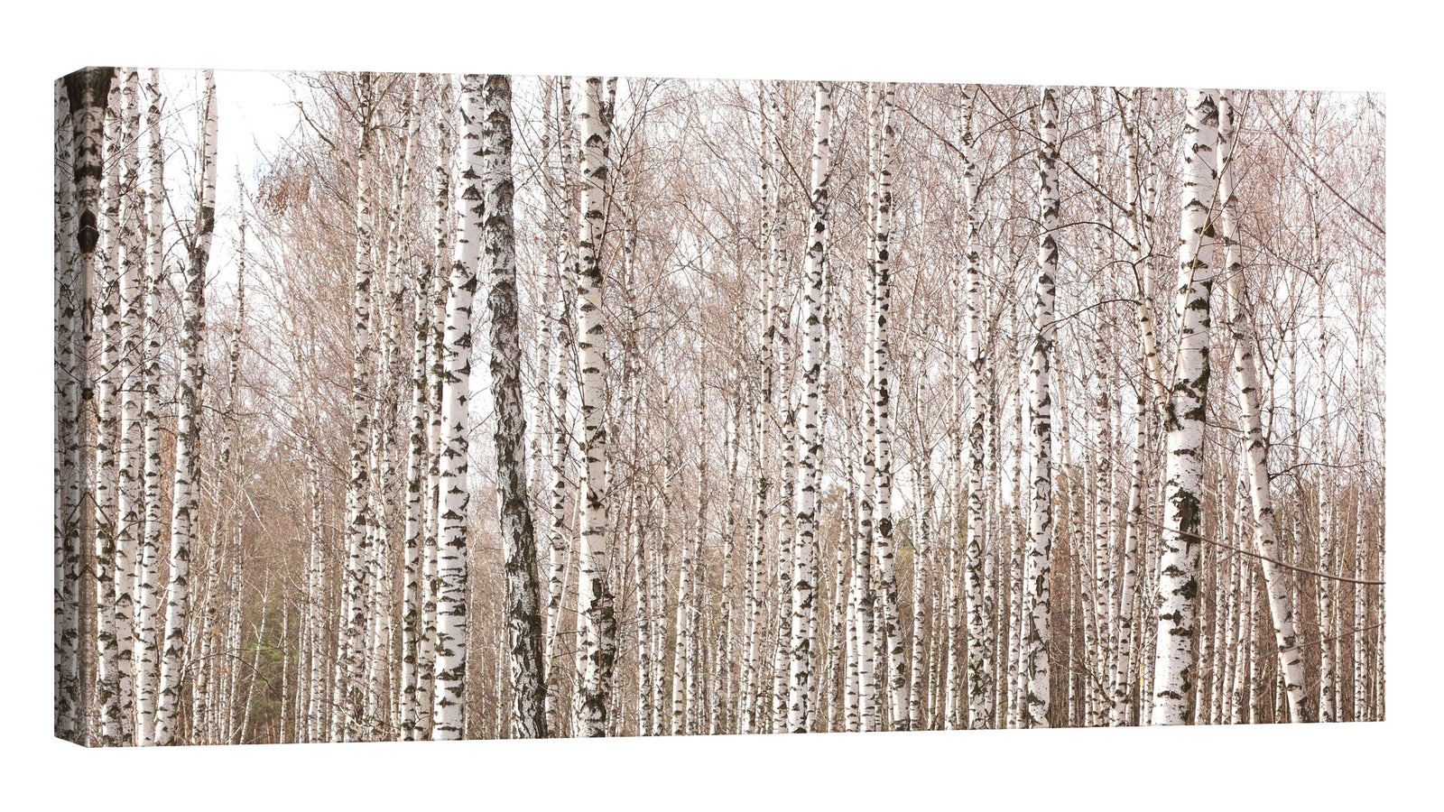 Landscapes No. 122, by day