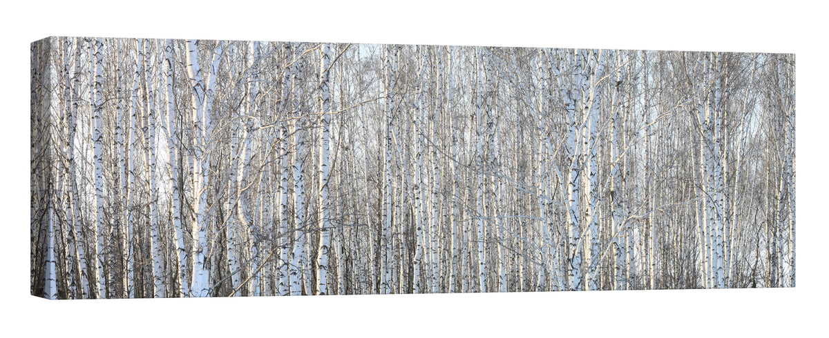 Landscapes No. 123, by day