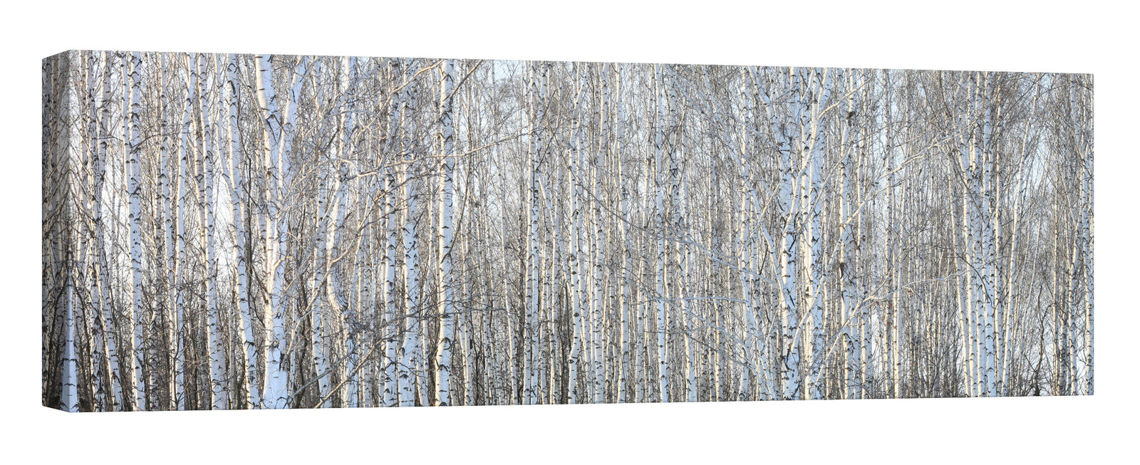 Landscapes No. 123, by day