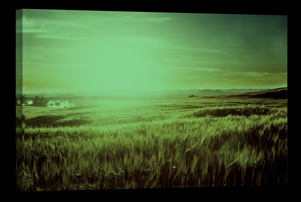 Landscapes No. 129, glowing at night