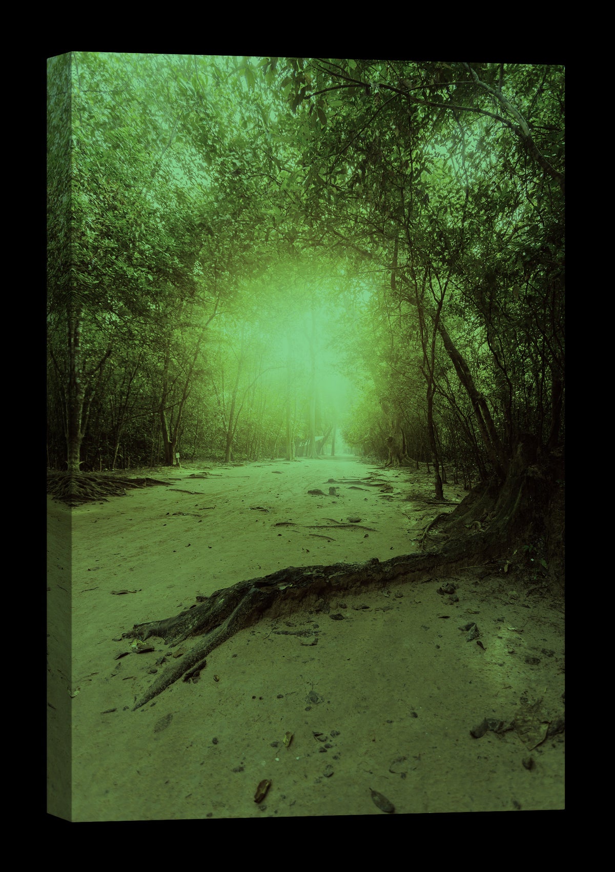 Landscapes No. 138, glowing at night