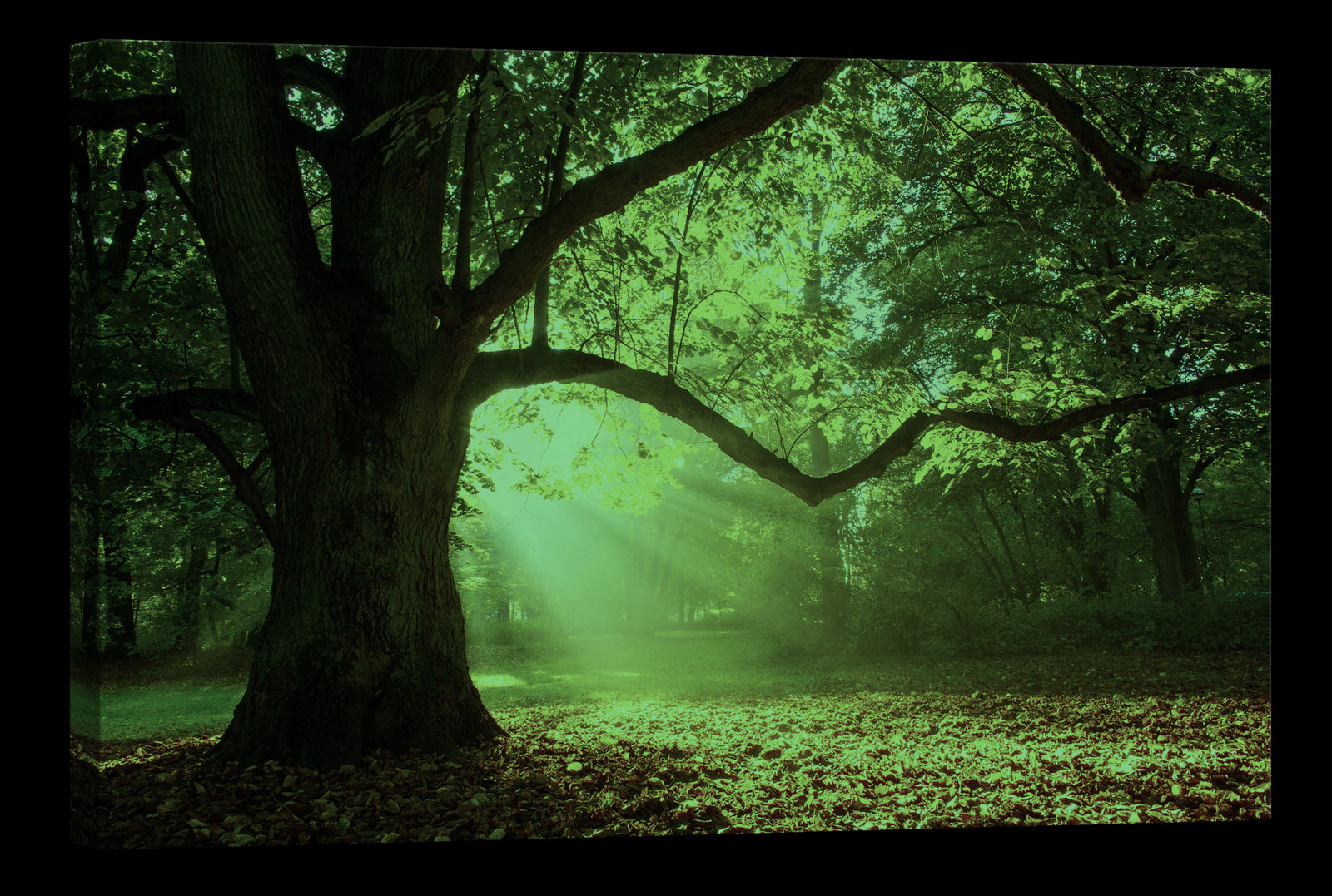 Landscapes No. 141, glowing at night
