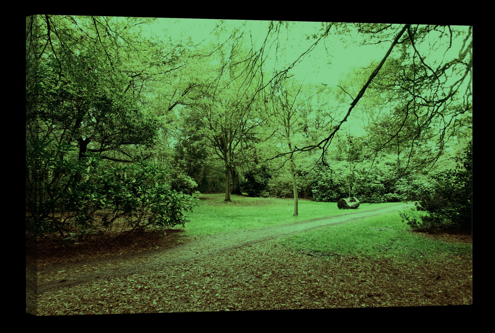 Landscapes No. 142, glowing at night