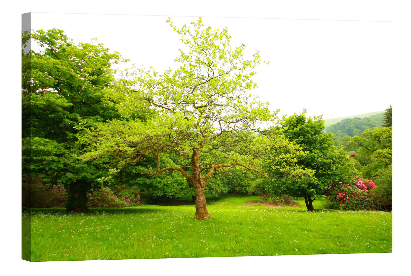 Landscapes No. 144, by day