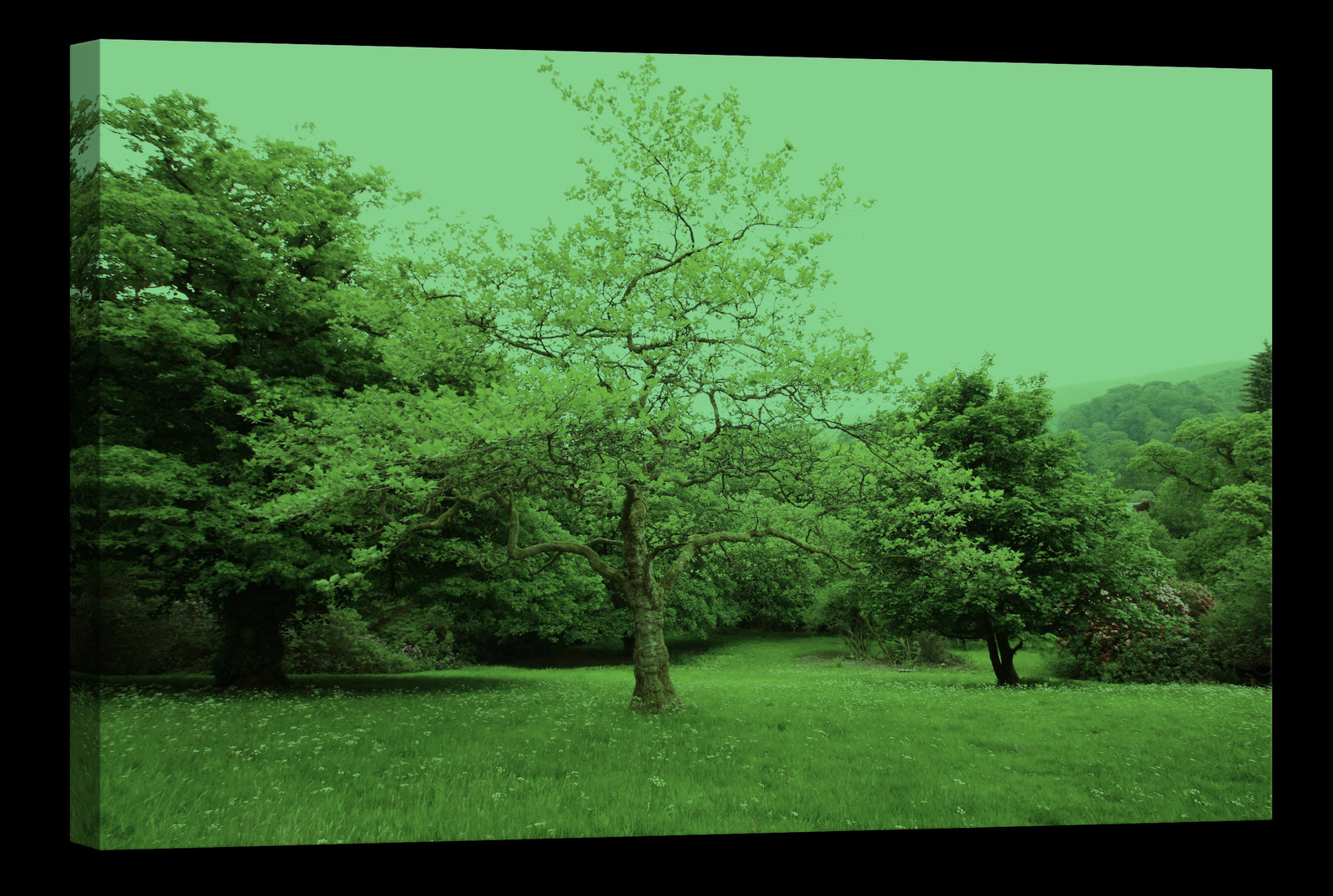 Landscapes No. 144, glowing at night