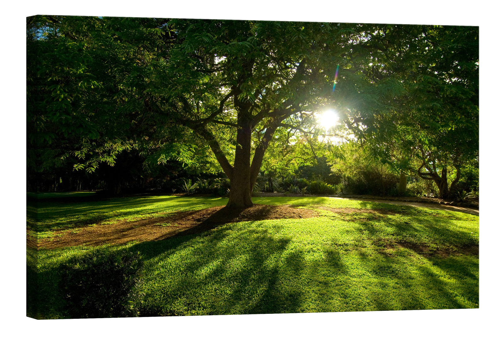 Landscapes No. 145, by day