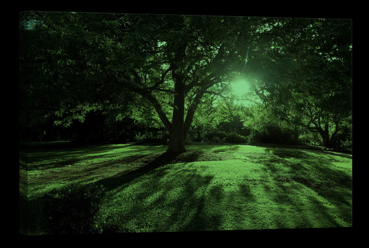 Landscapes No. 145, glowing at night
