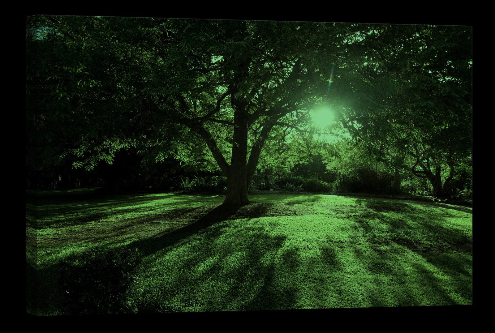 Landscapes No. 145, glowing at night