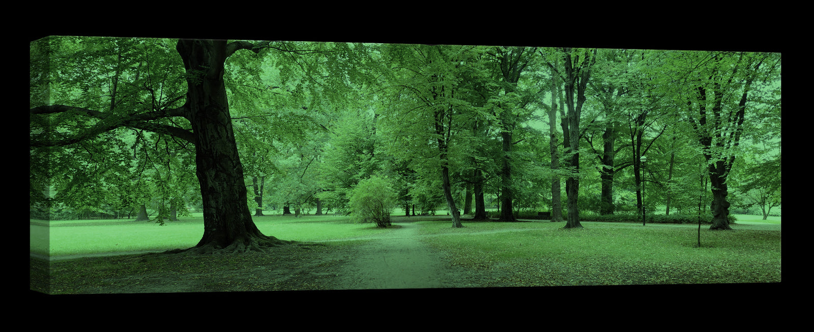 Landscapes No. 147, glowing at night