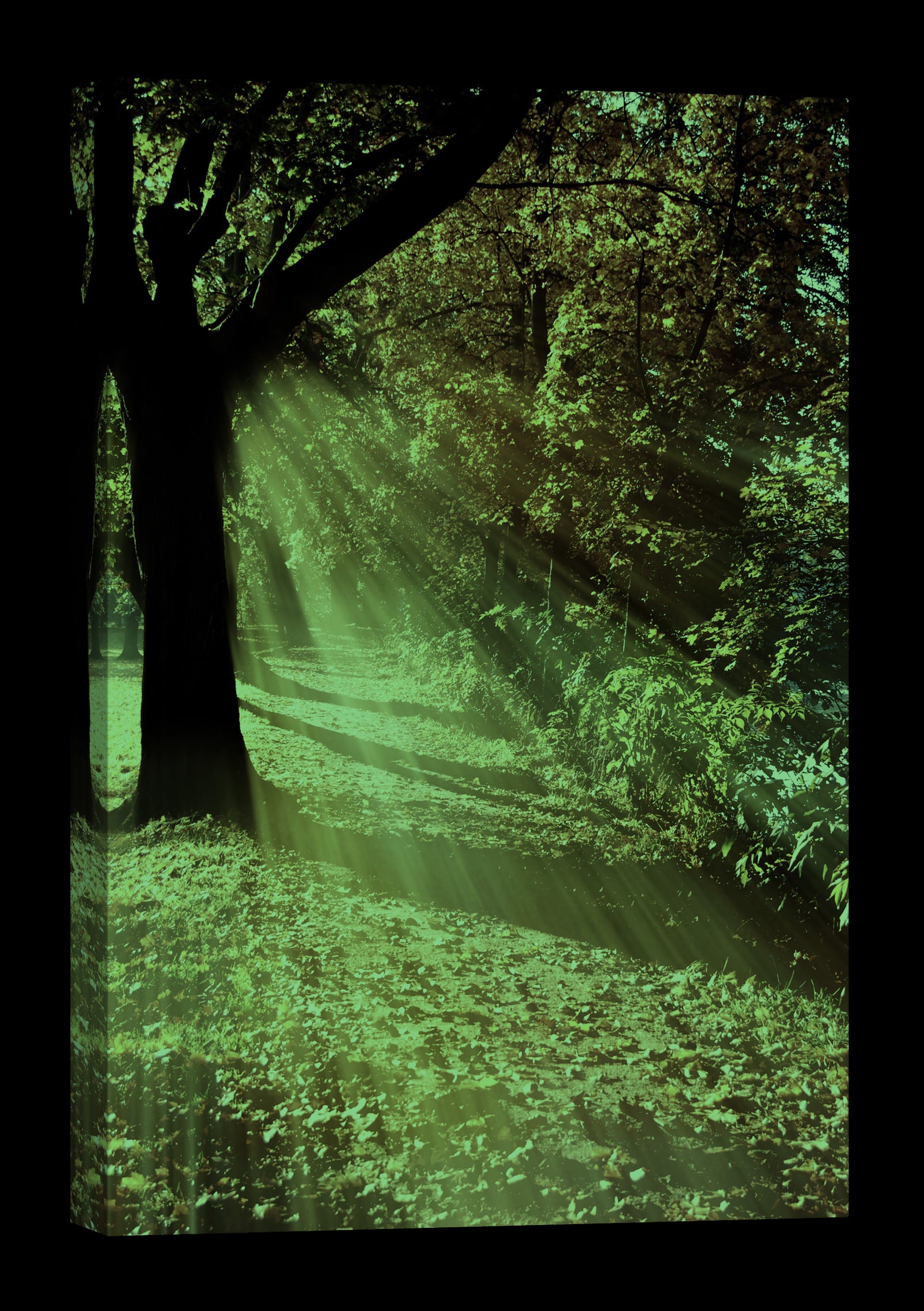 Landscapes No. 151, glowing at night