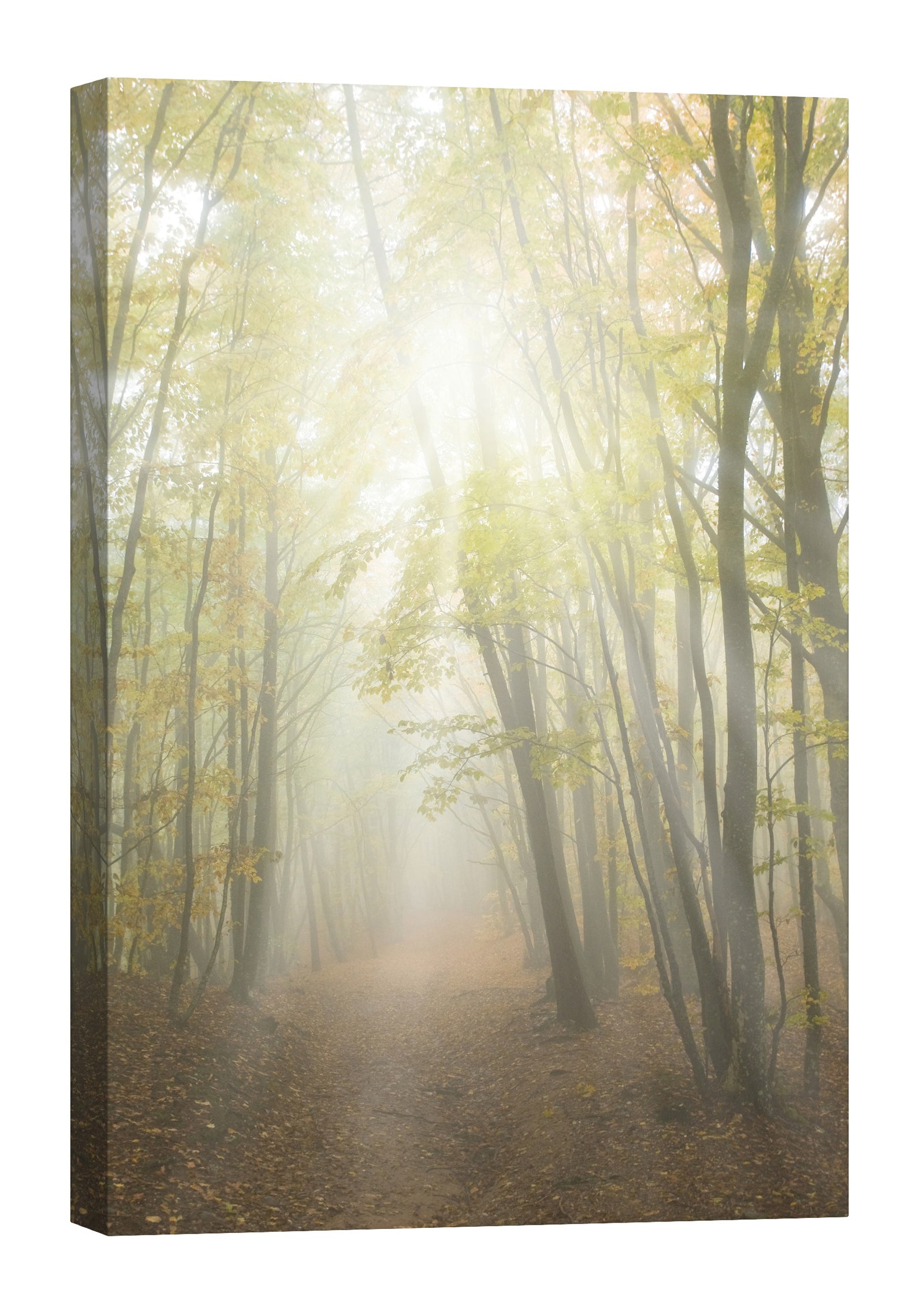 Landscapes No. 162, by day