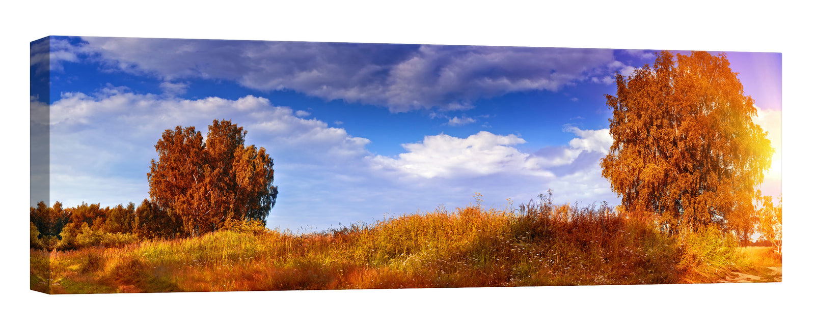 Landscapes No. 166, by day