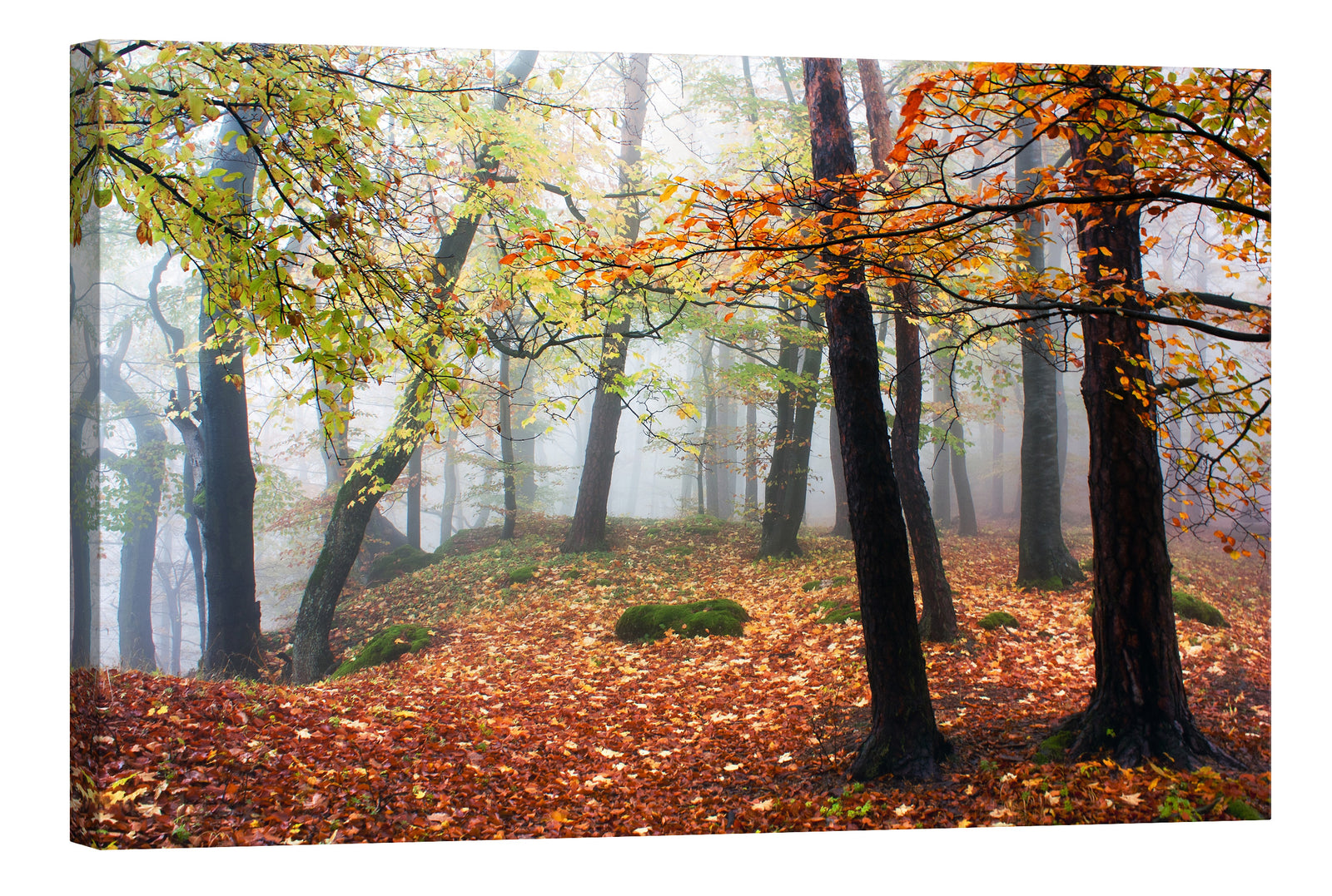 Landscapes No. 171, by day