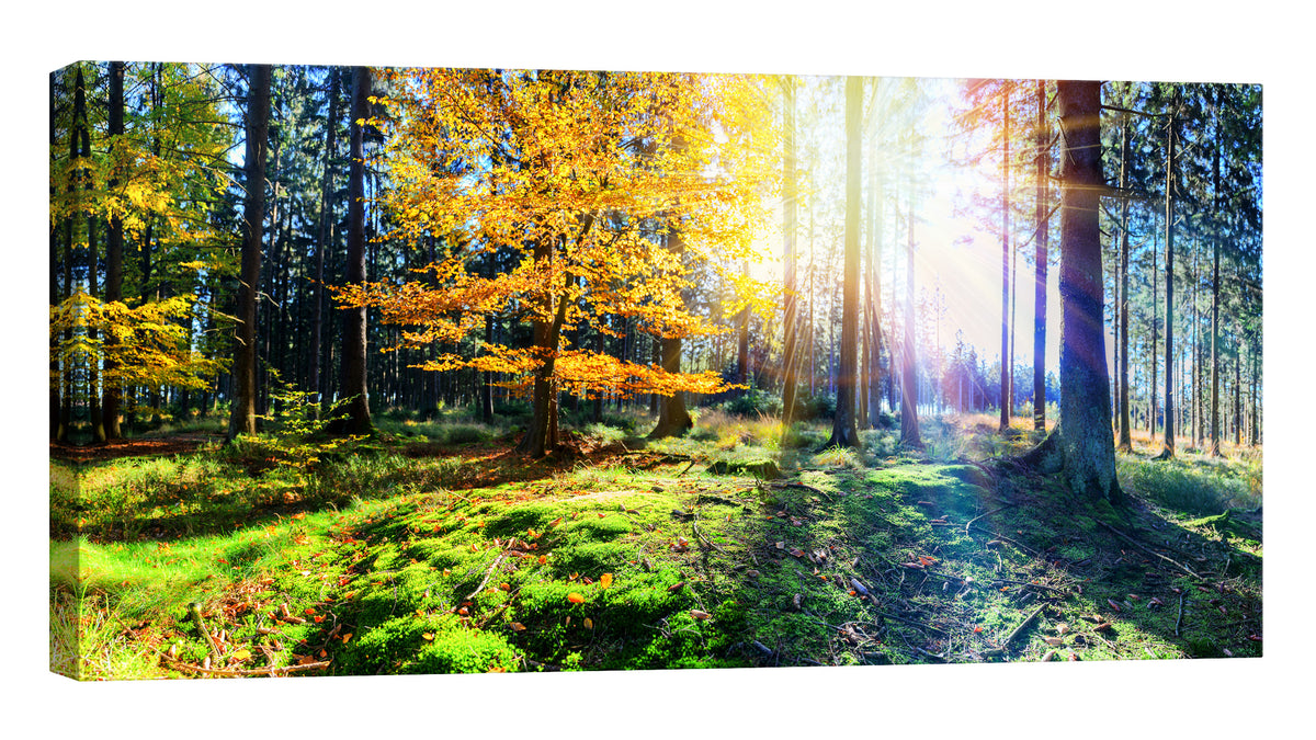 Landscapes No. 186, by day