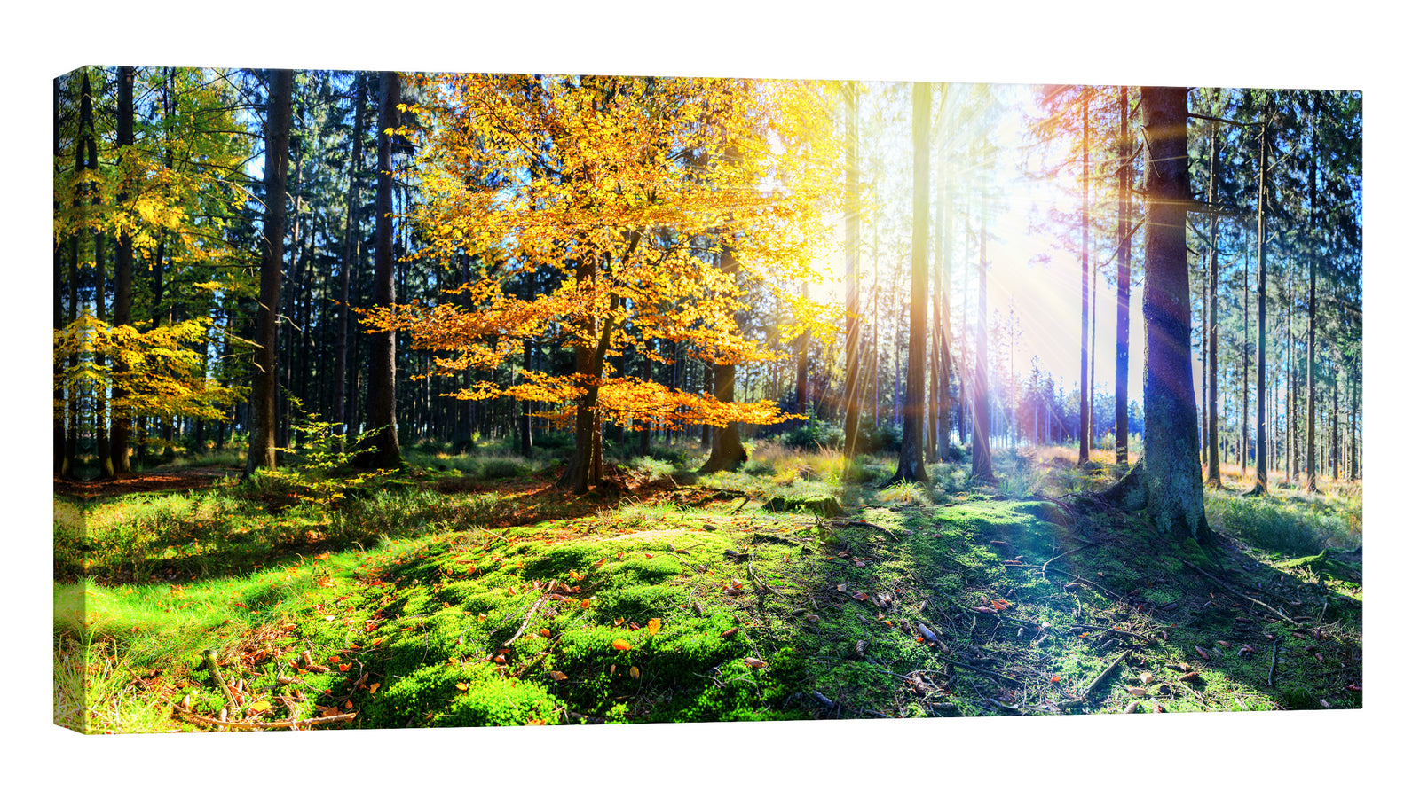 Landscapes No. 186, by day