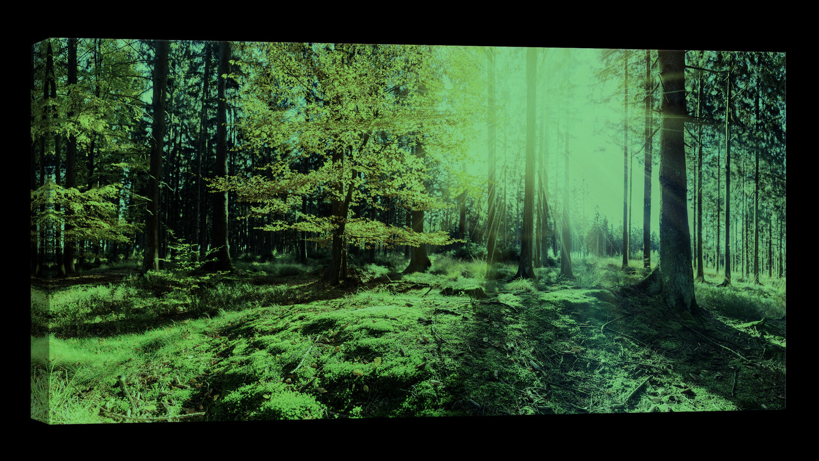 Landscapes No. 186, glowing at night