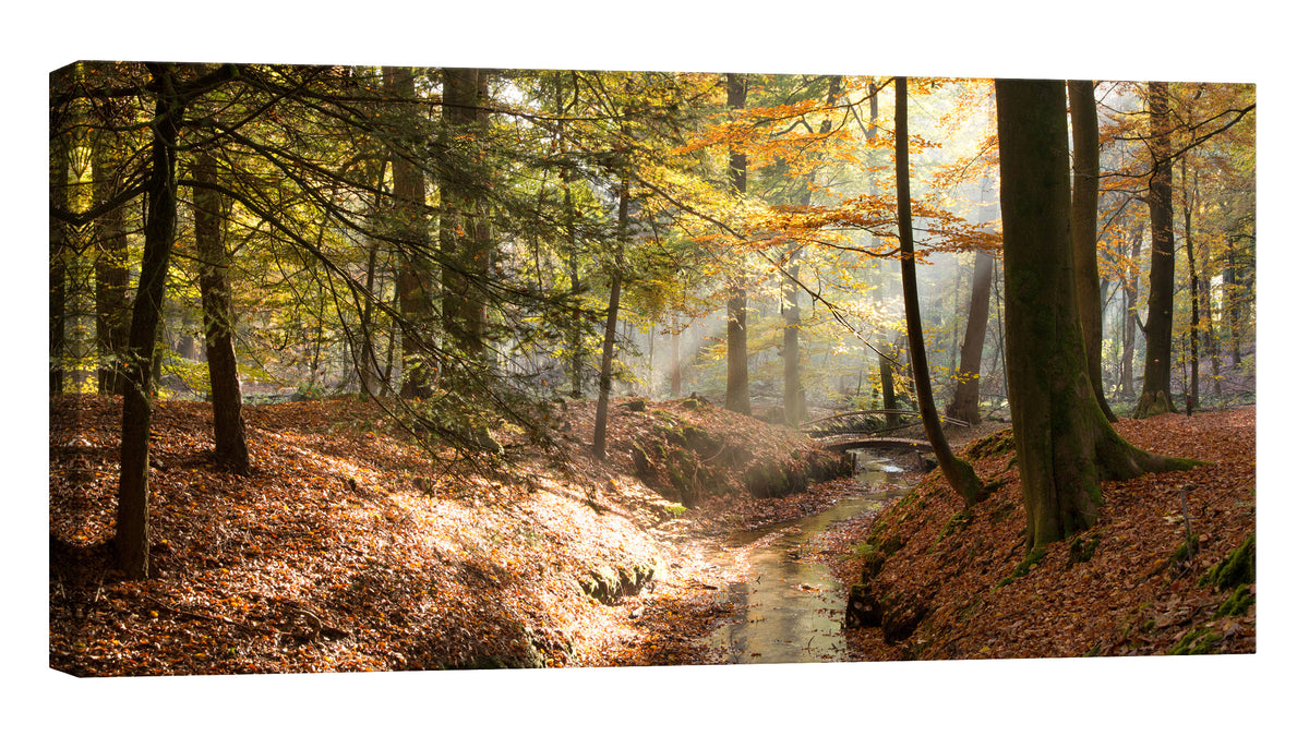 Landscapes No. 192, by day