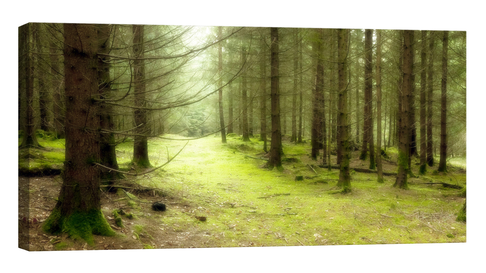 Landscapes No. 194, by day