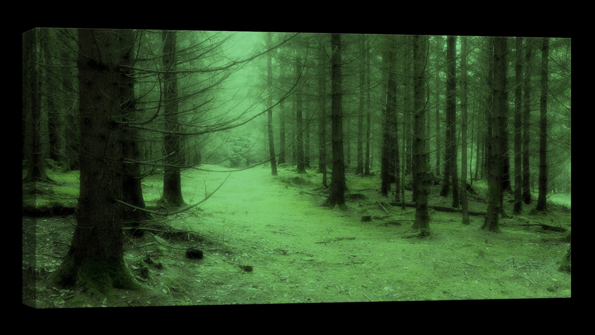 Landscapes No. 194, glowing at night