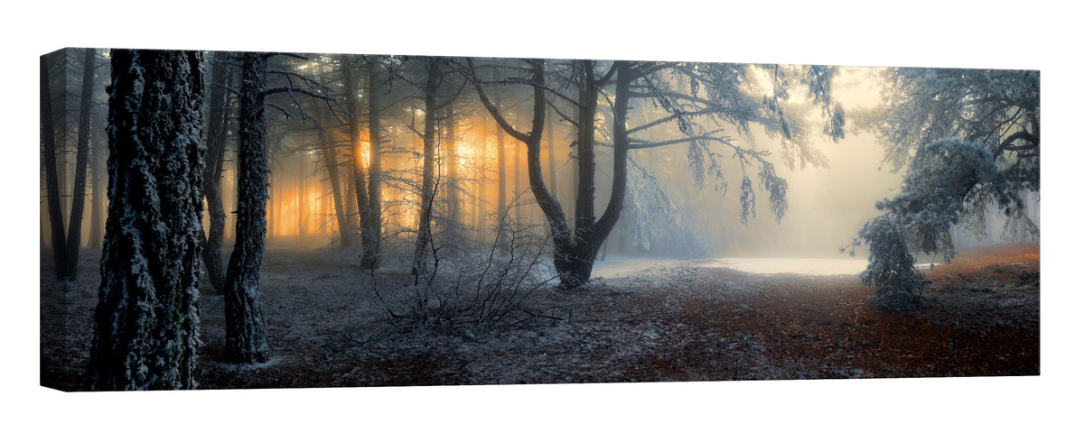 Landscapes No. 195, by day