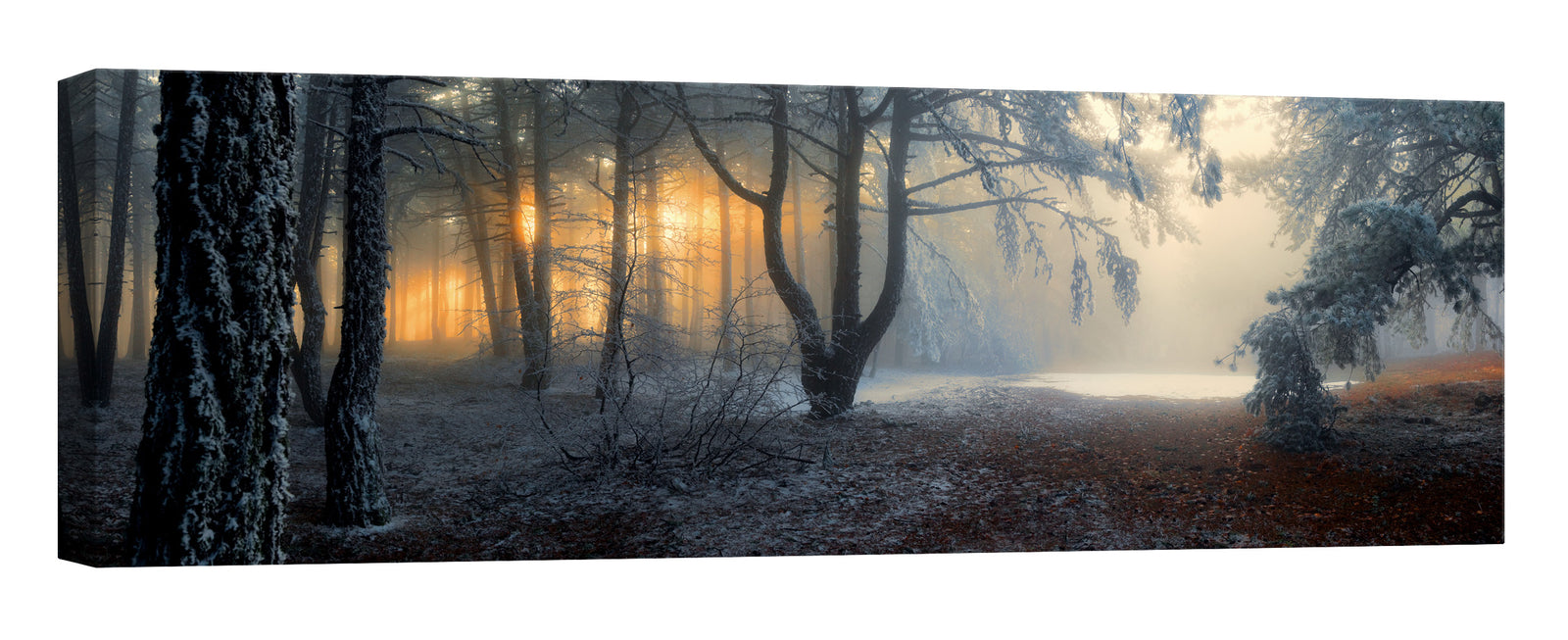Landscapes No. 195, by day
