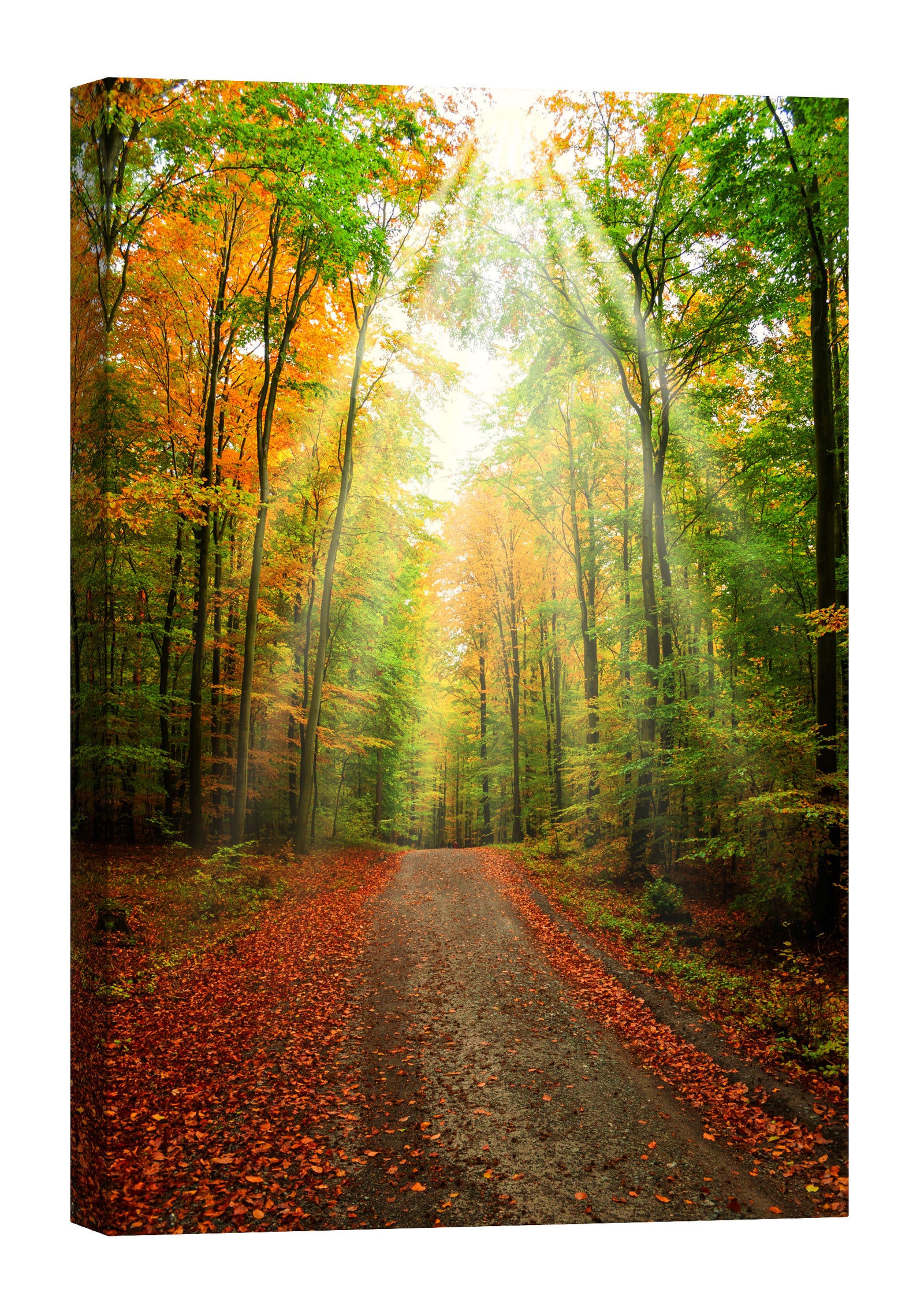 Landscapes No. 198, by day