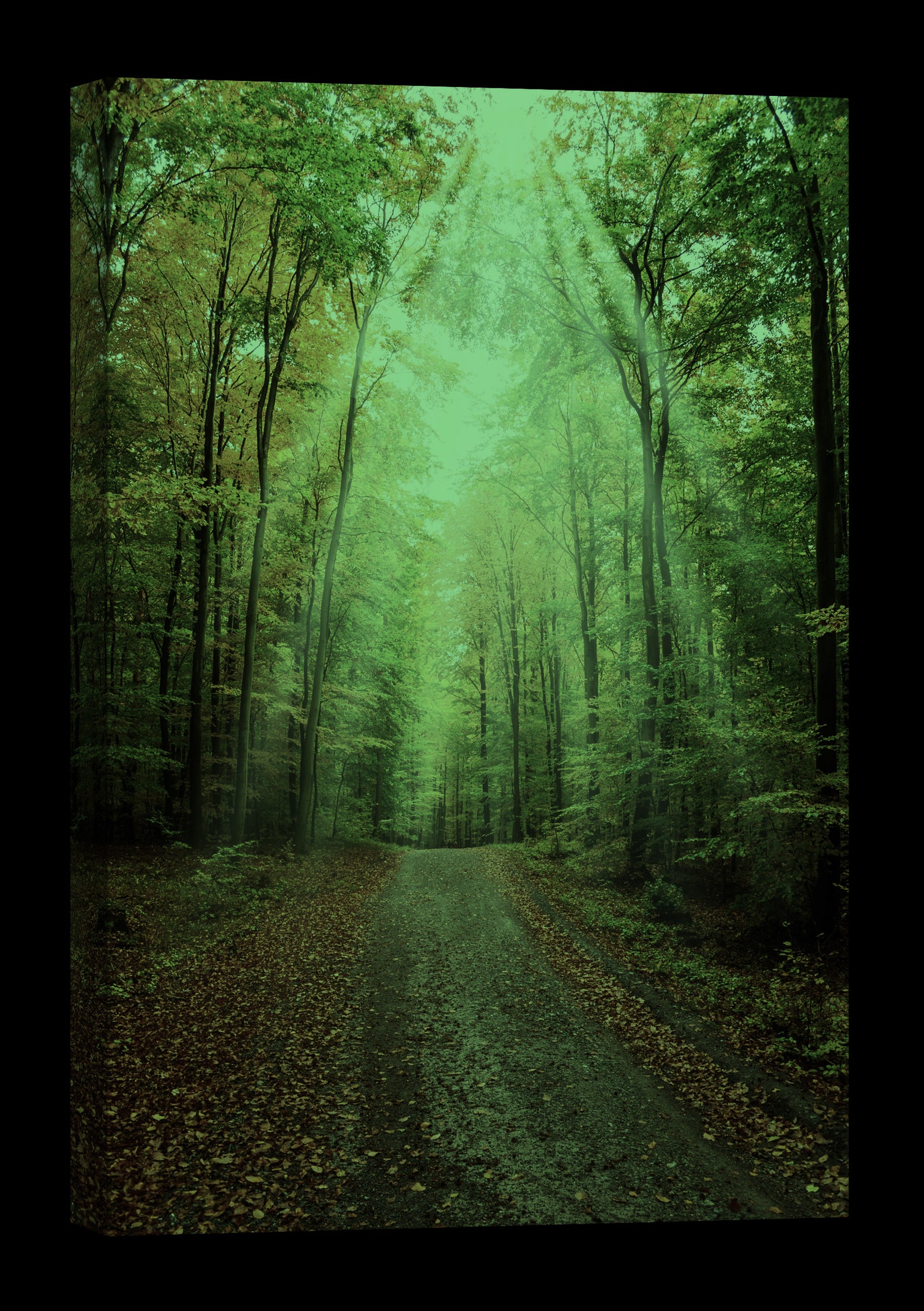 Landscapes No. 198, glowing at night