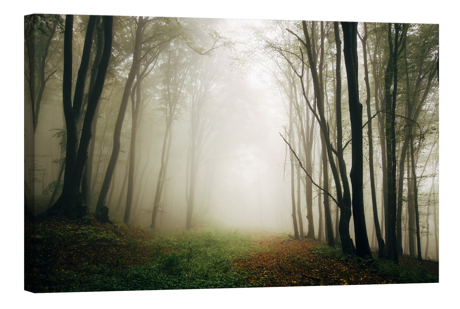 Landscapes No. 204, by day