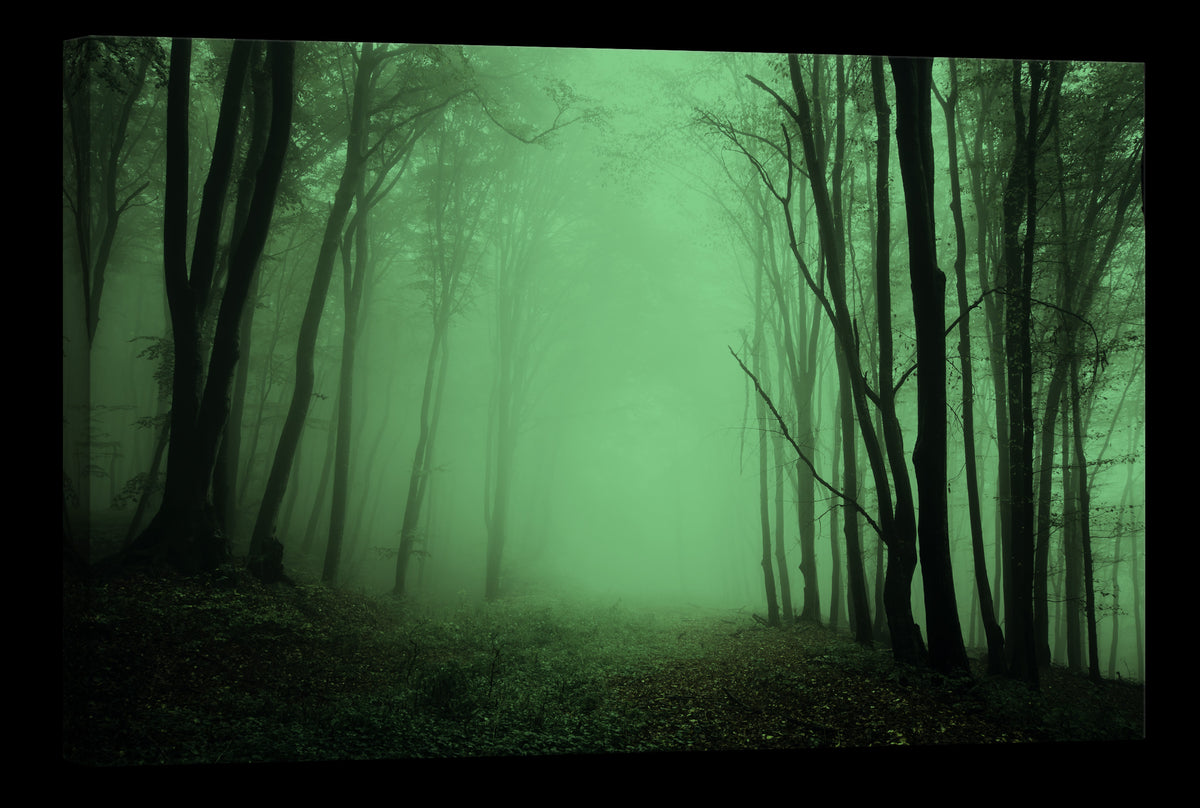 Landscapes No. 204, glowing at night