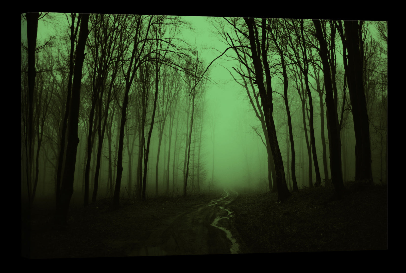 Landscapes No. 208, glowing at night