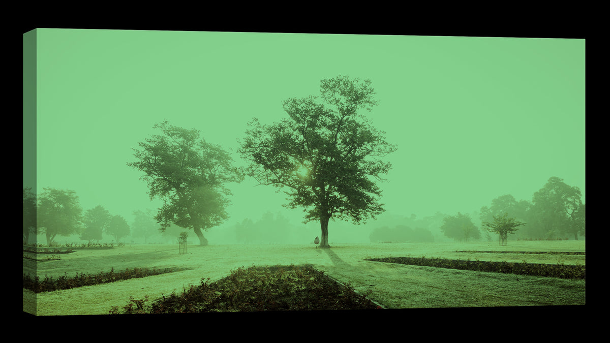 Landscapes No. 211, glowing at night