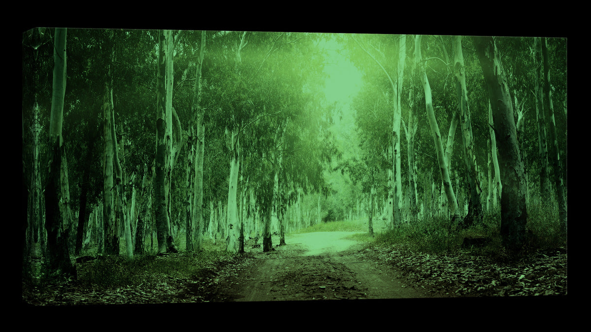 Landscapes No. 222, glowing at night