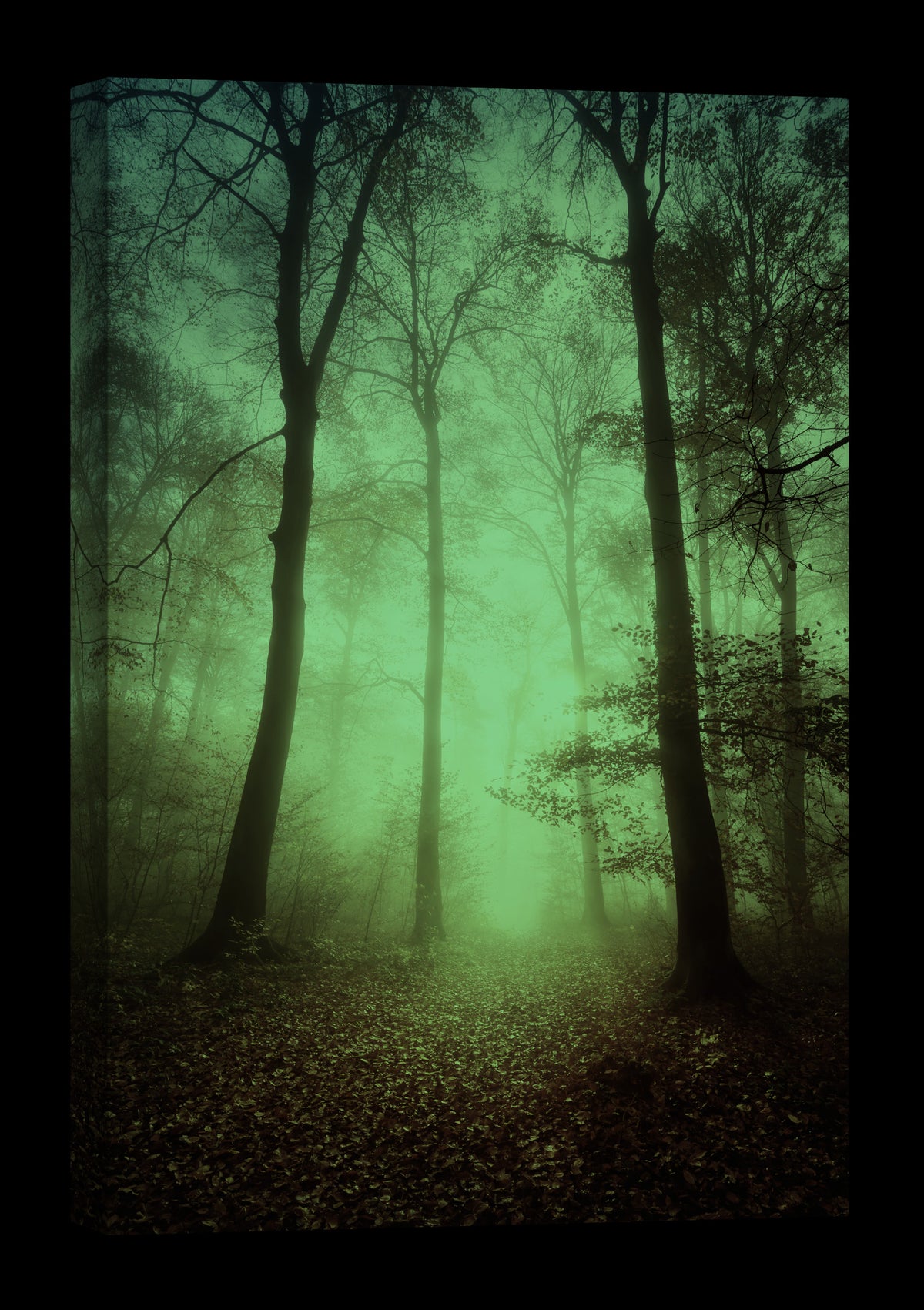 Landscapes No. 223, glowing at night