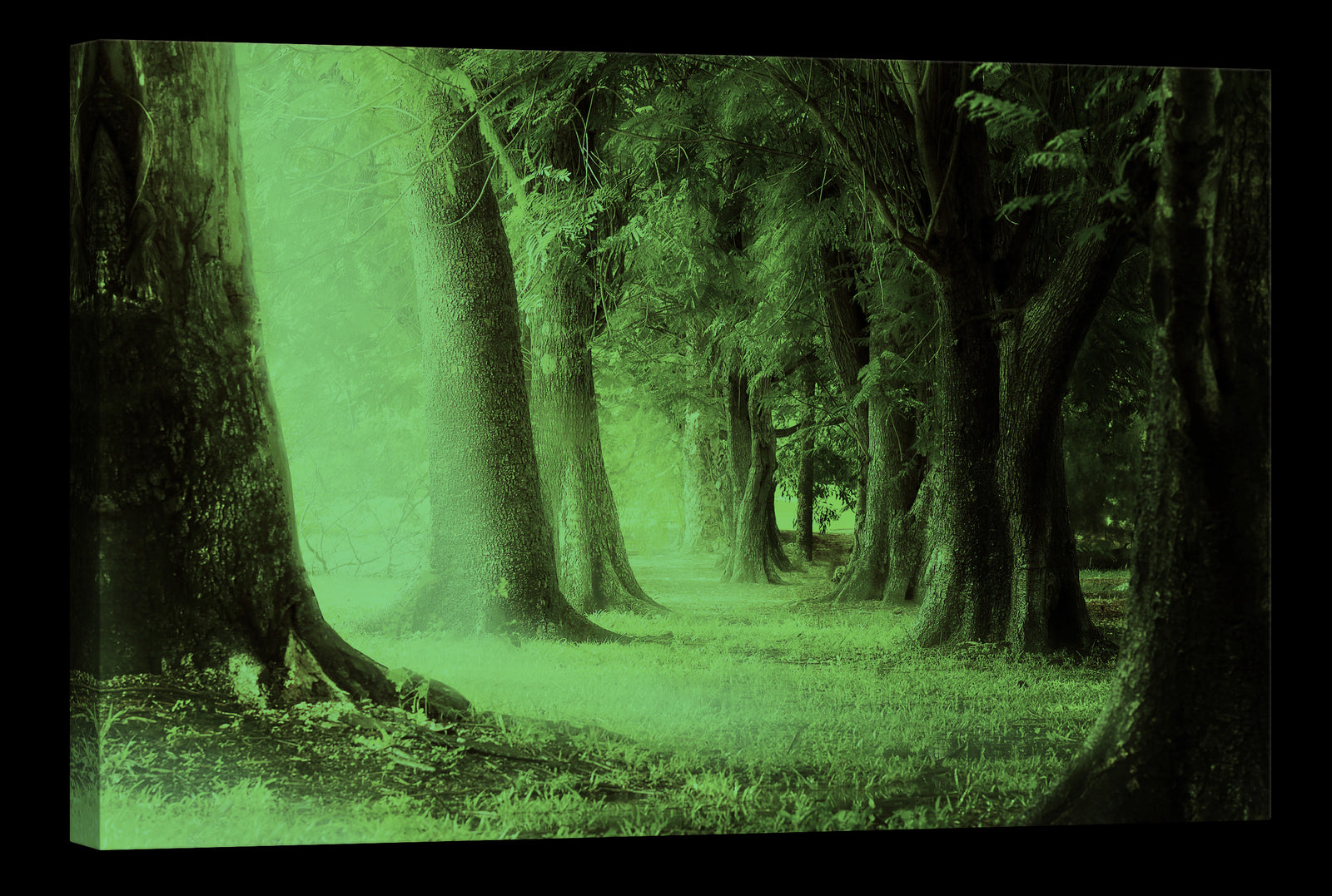 Landscapes No. 224, glowing at night