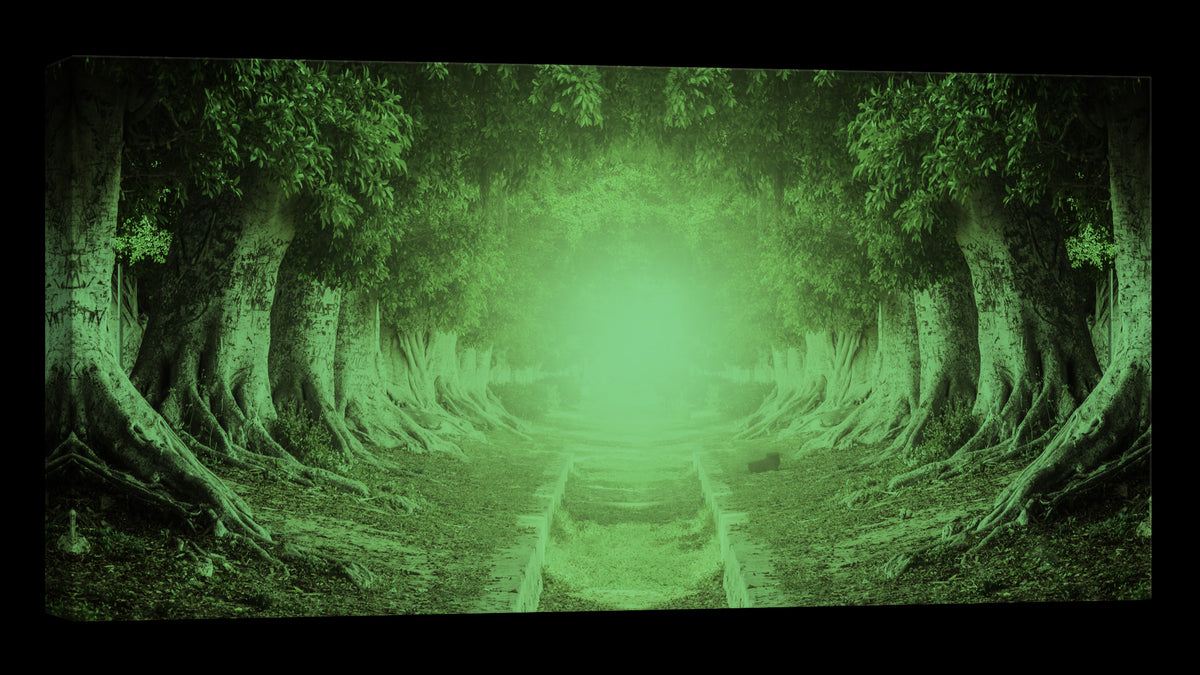 Landscapes No. 233, glowing at night