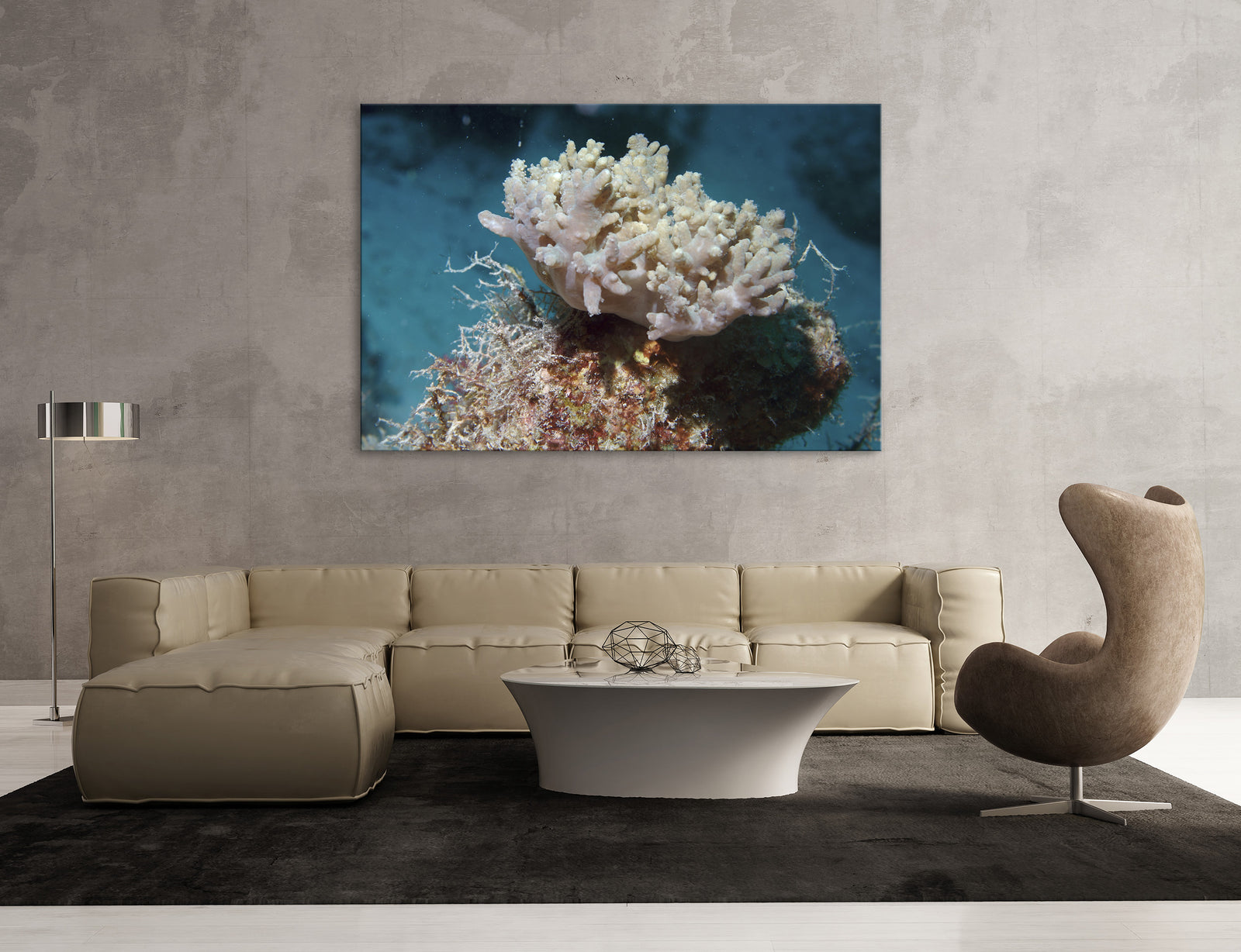 Landscapes No. 342, shown framed in a room by day
