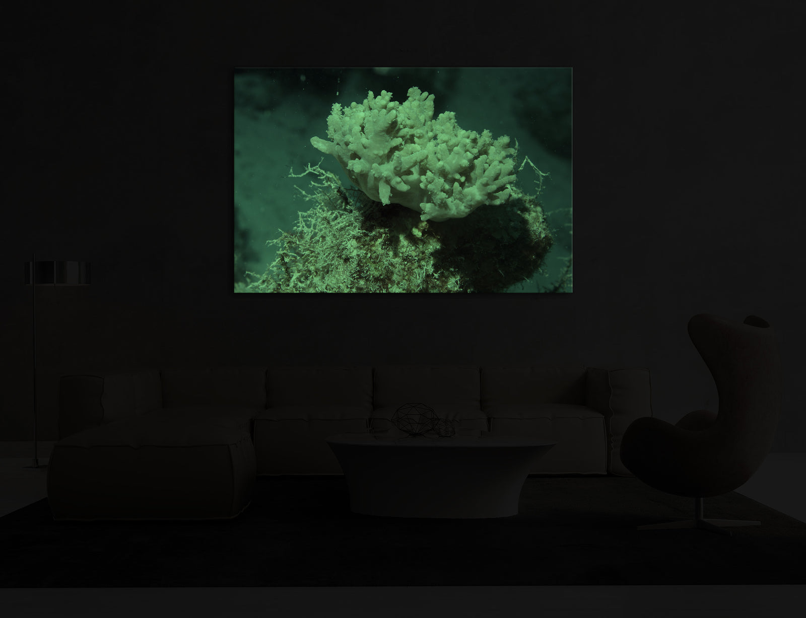 Landscapes No. 342, glowing in a room at night