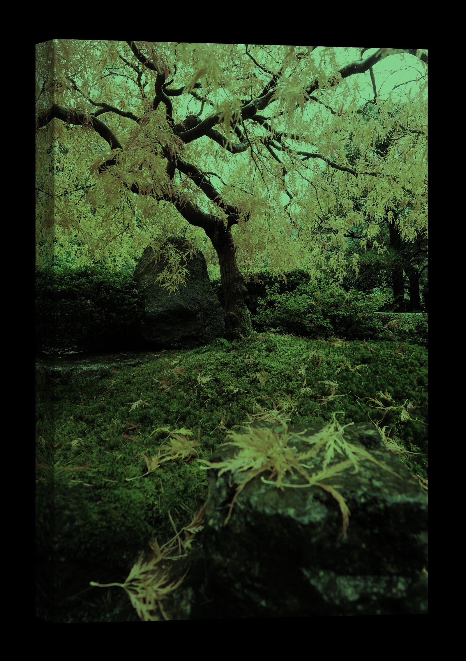 Landscapes No. 373, glowing at night