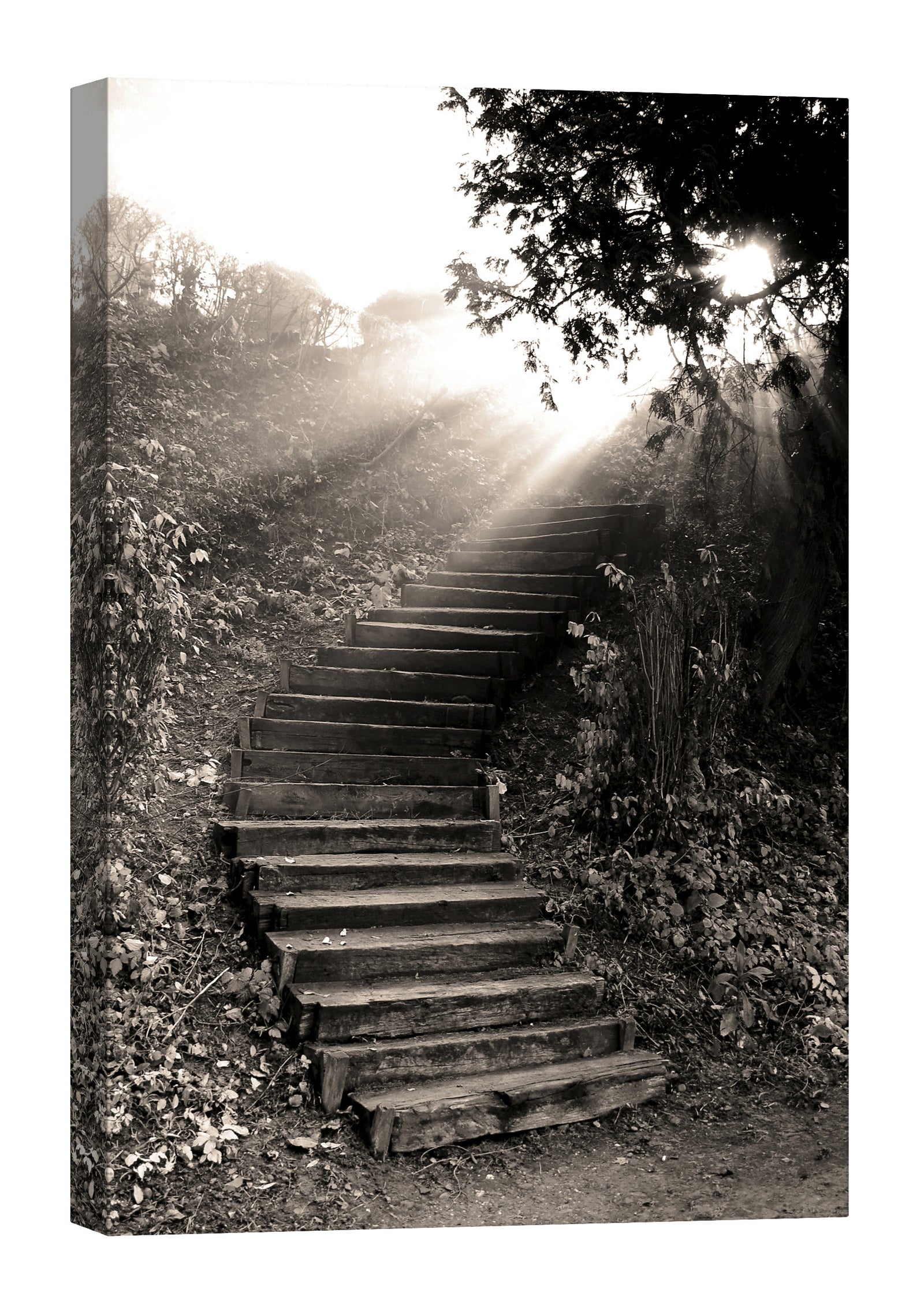 Cities No. 056, by day
