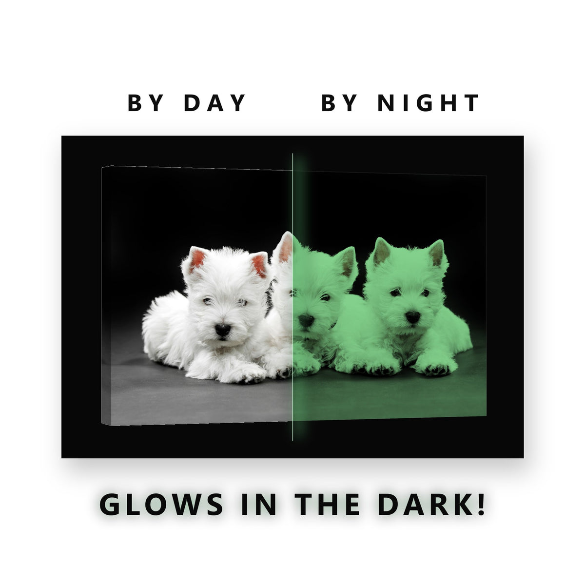 Three West Highland Puppies Glow in the Dark Canvas Wall Art Kids Room, glowing at night