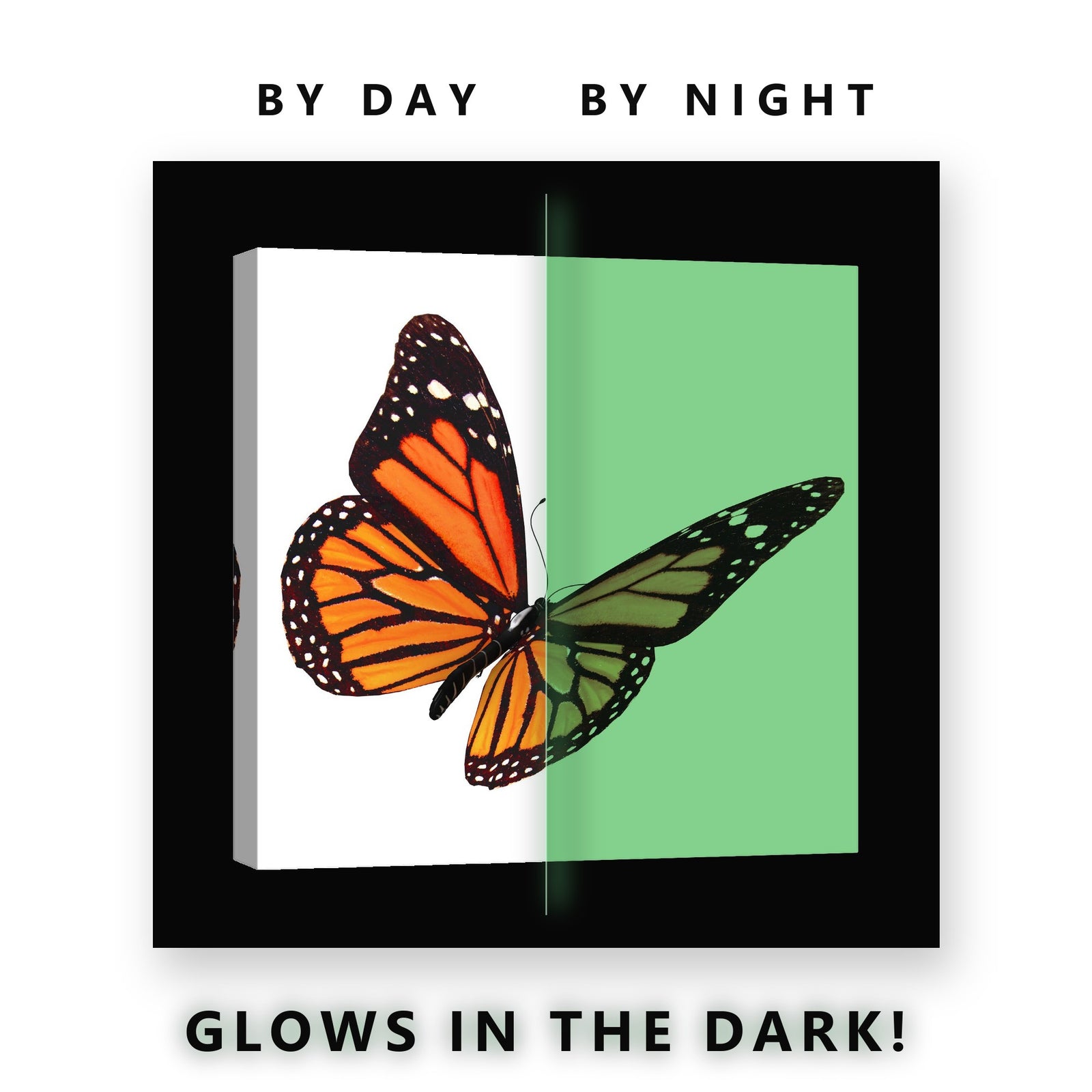 Monarch Butterfly on White Glow in the Dark Canvas Wall Art for Nursery, glowing at night