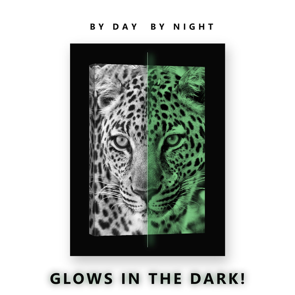 Leopard Portrait Black and White Glow in the Dark Canvas Wall Art Office, glowing at night
