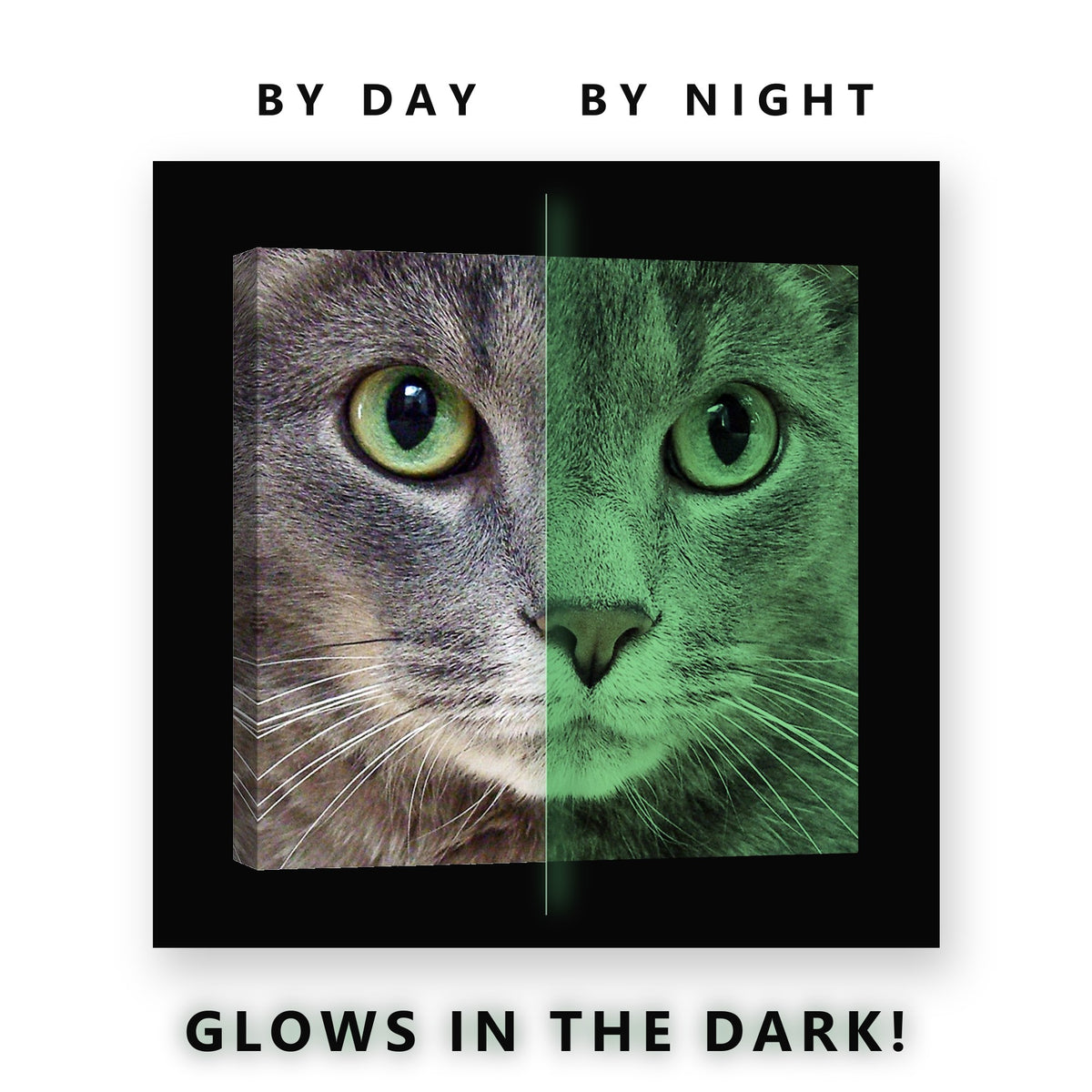 Grey Cat Green Eyes Close Up Glow in the Dark Canvas Wall Art Living Room, glowing at night