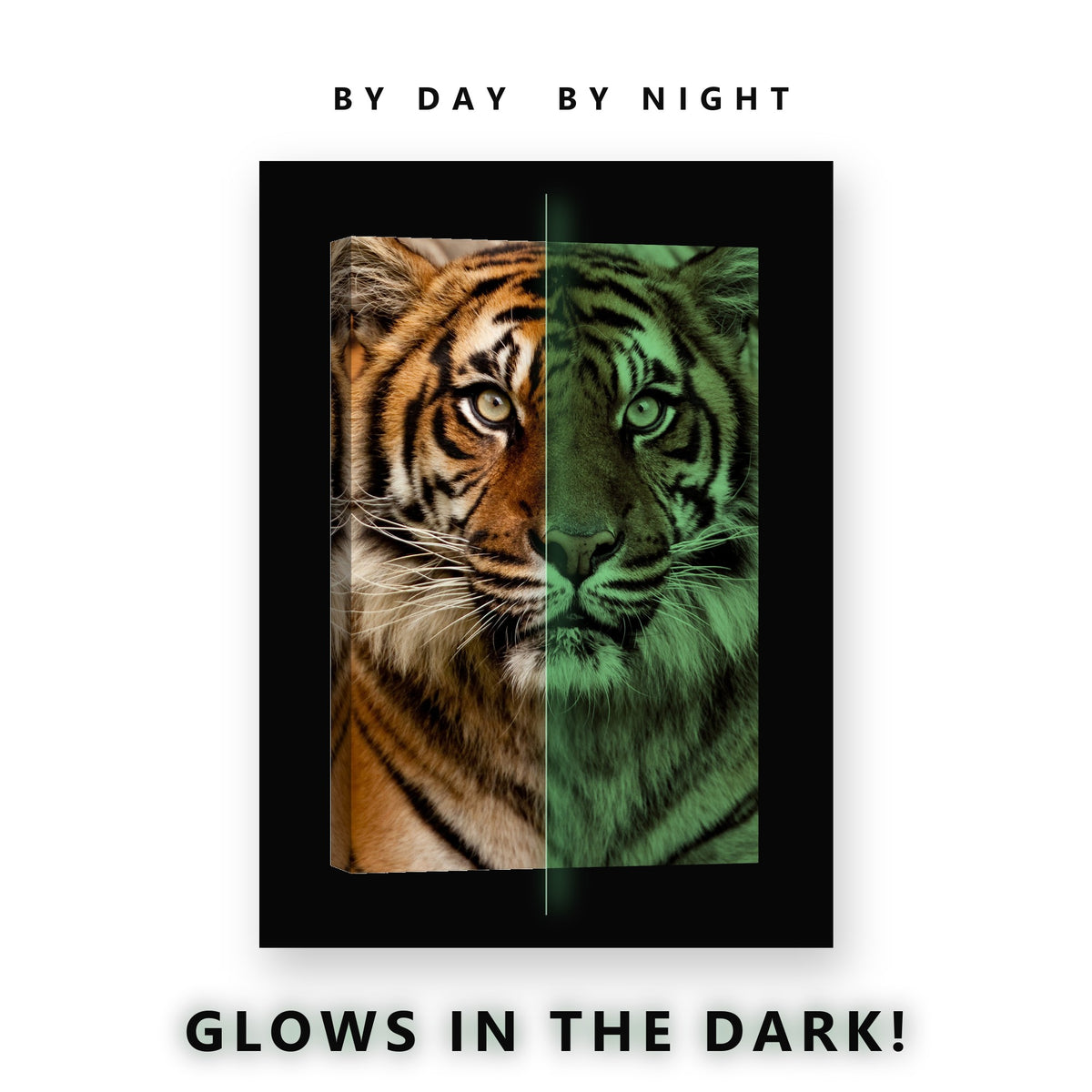 Tiger Face Portrait Glow in the Dark Canvas Wall Art for Living Room, glowing at night