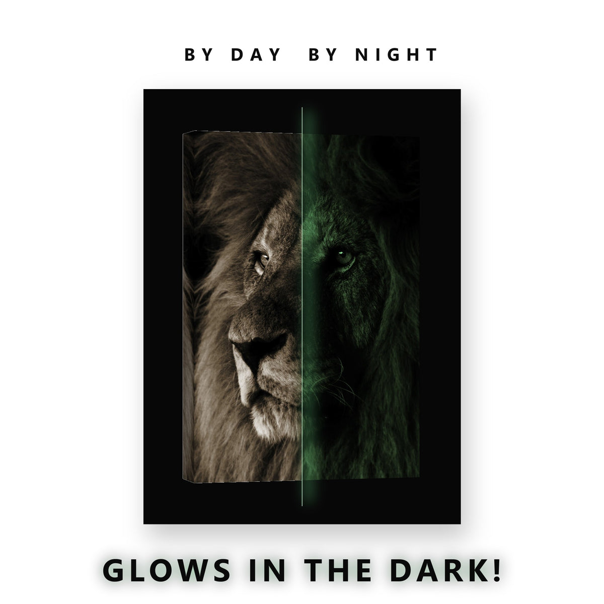 Sepia Lion Portrait Glow in the Dark Canvas Wall Art for Living Room, glowing at night