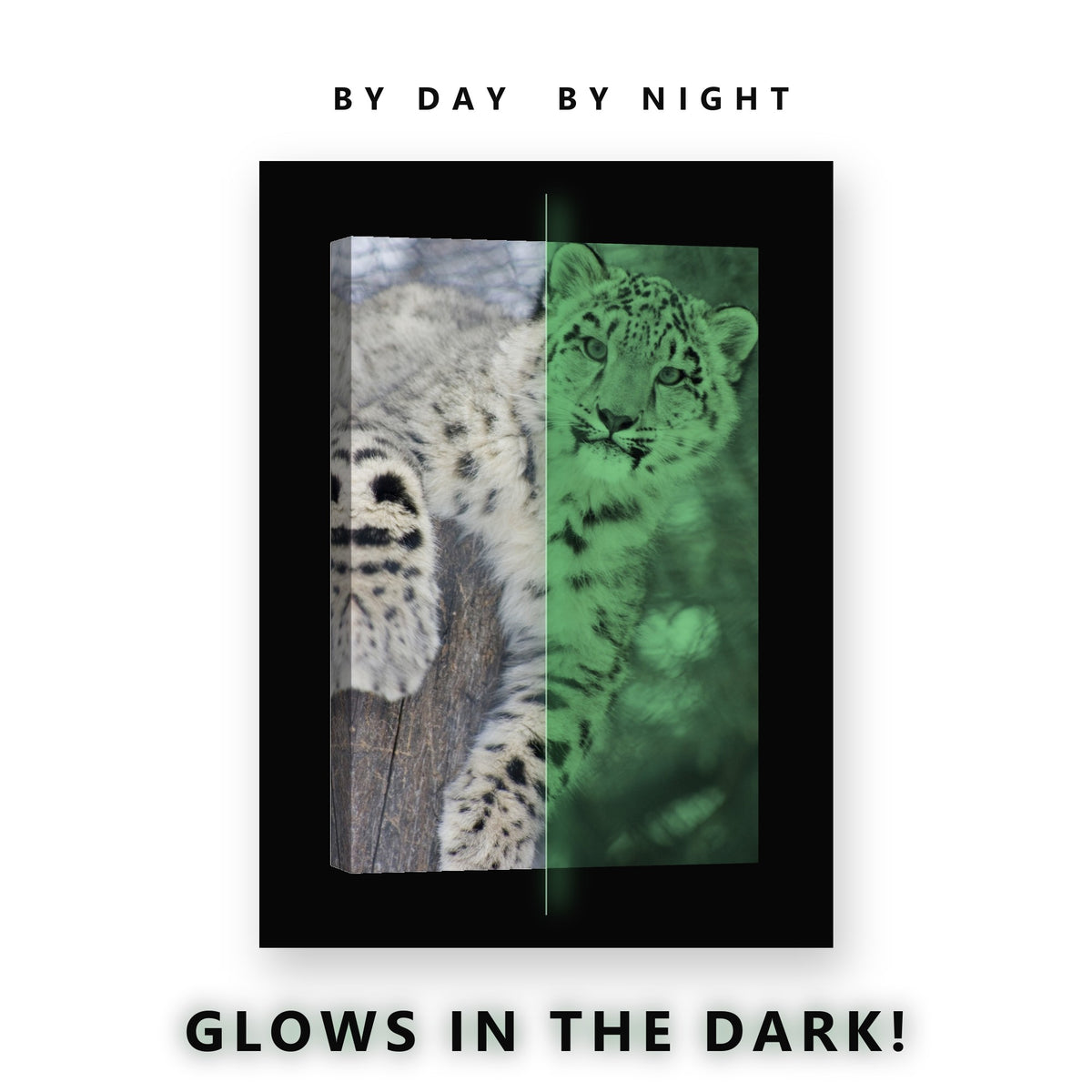 Snow Leopard in Winter Glow in the Dark Canvas Wall Art for Living Room, glowing at night