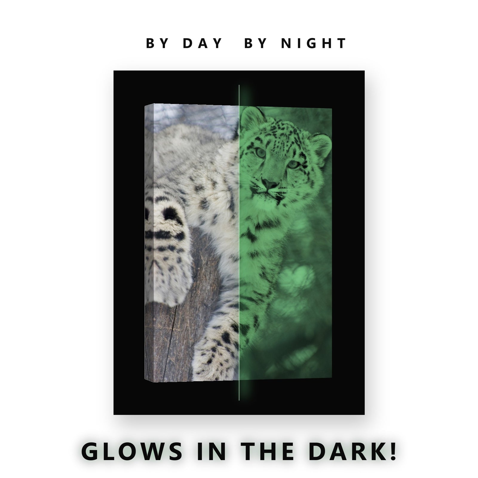 Snow Leopard in Winter Glow in the Dark Canvas Wall Art for Living Room, glowing at night