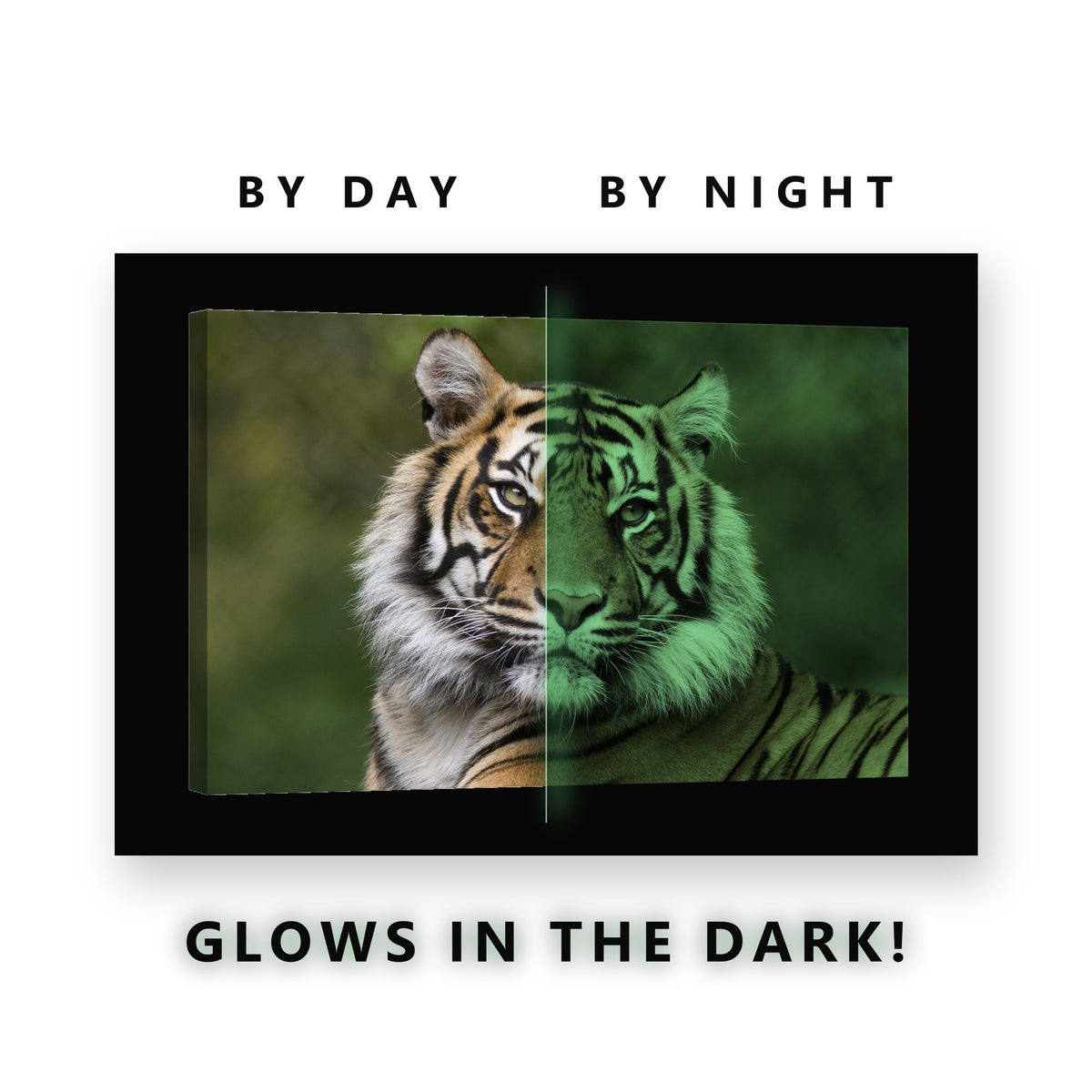 Tiger Portrait in the Jungle Glow in the Dark Canvas Wall Art Living Room, glowing at night